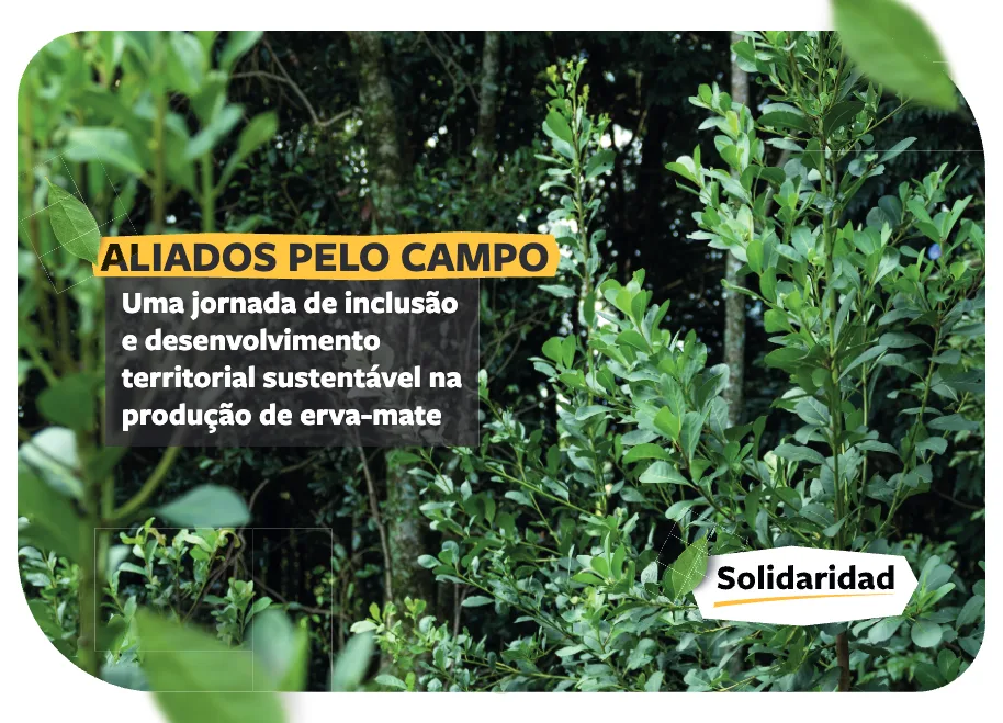 capa, aliados pelo campo, erva-mate