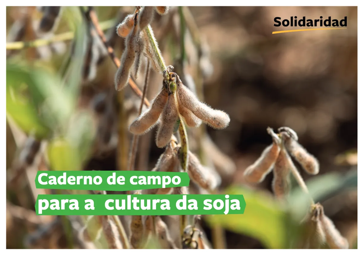capa, caderno de campo para a cultura da soja