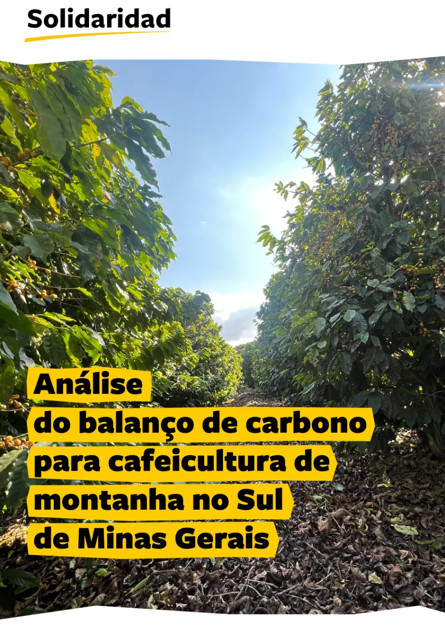 capa, balanço de carbono na cafeicultura de montanha