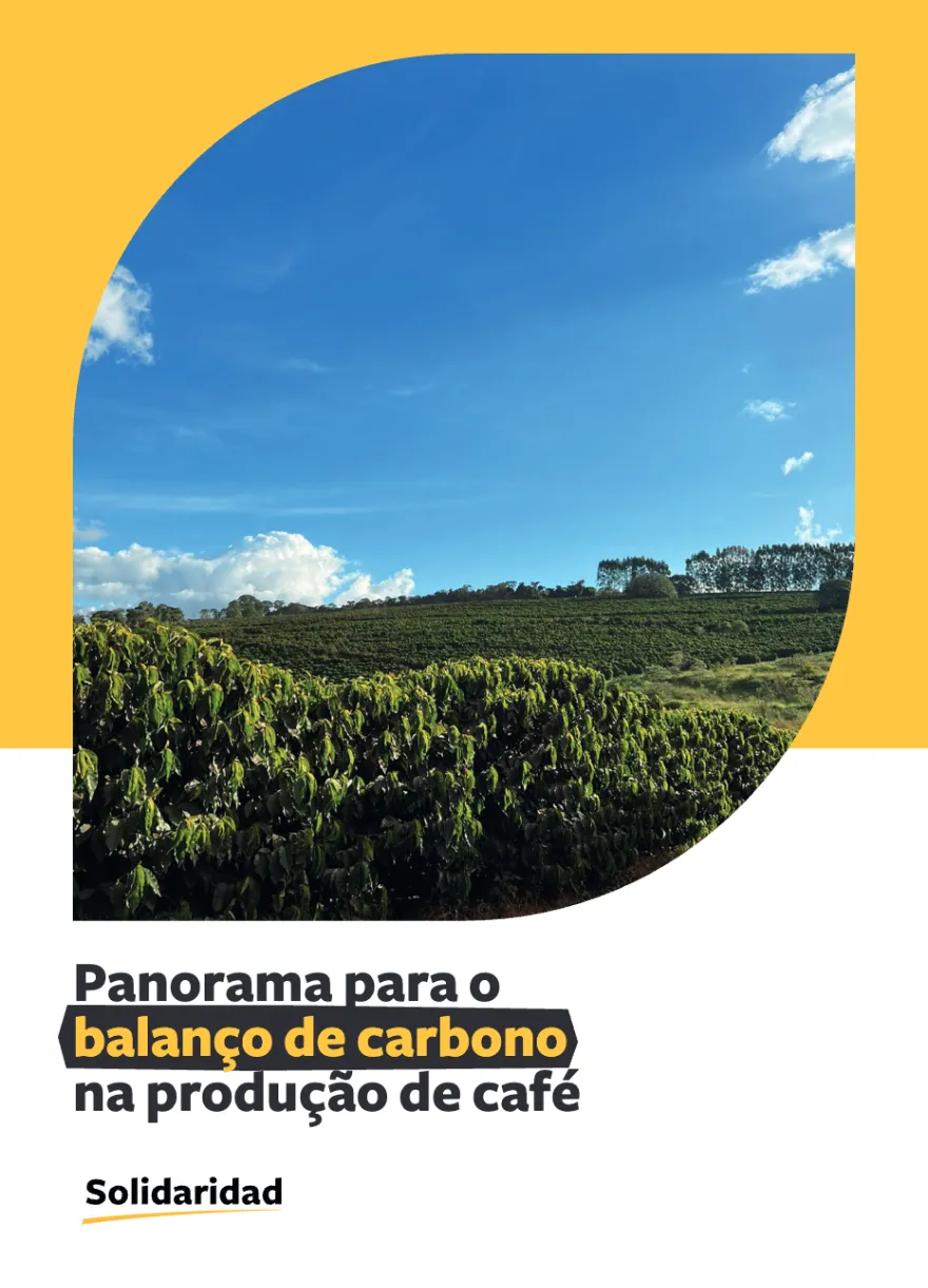 capa, panorama para o balanço de carbono na produção de café