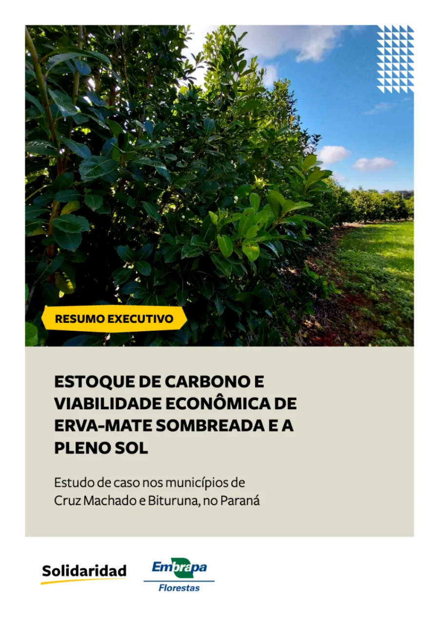 capa, estoque de carbono em erva-mate, resumo executivo