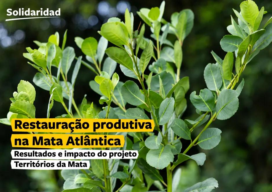capa, restauração produtiva na mata atlântica