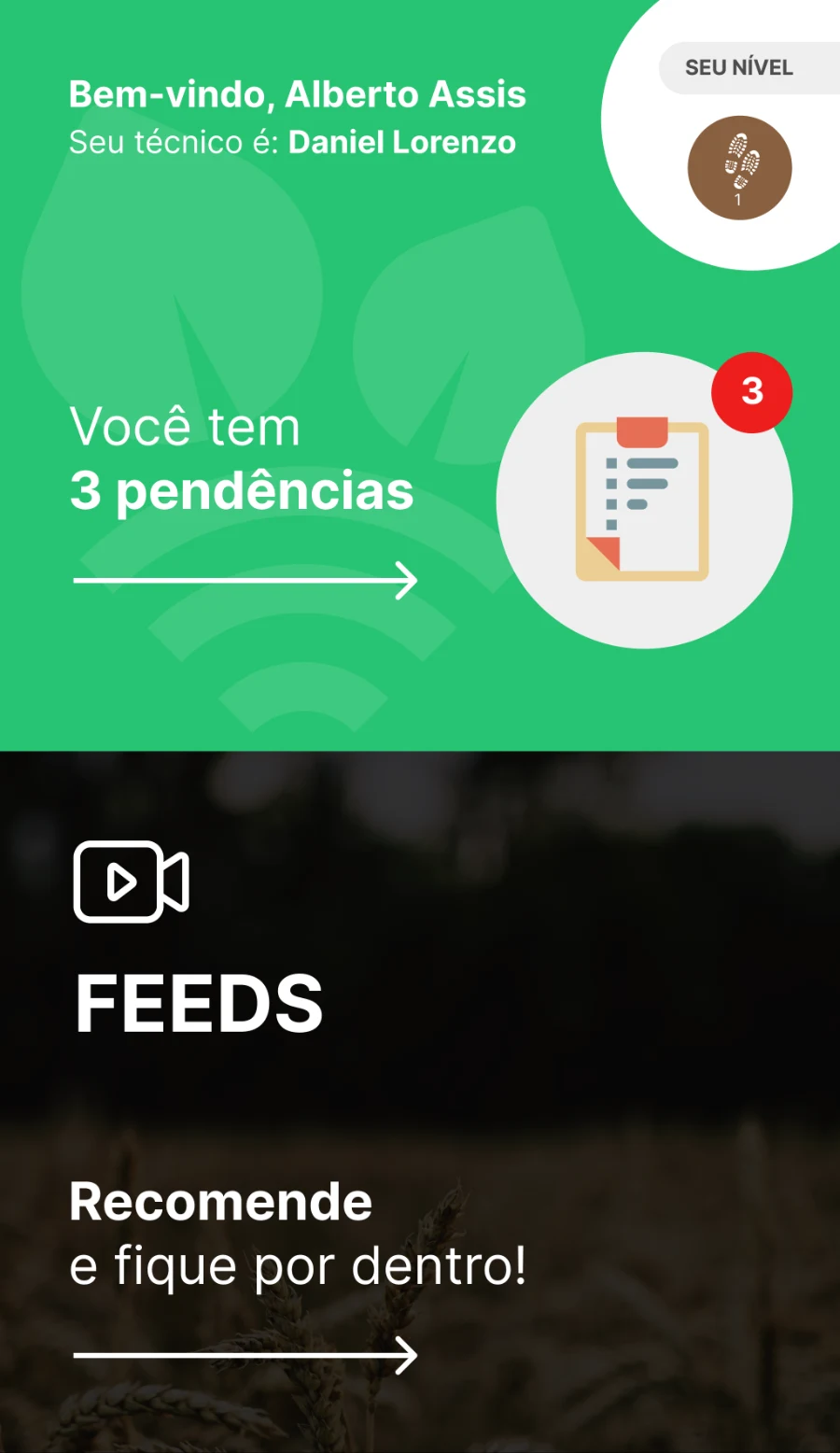 home, plano de ação e feed