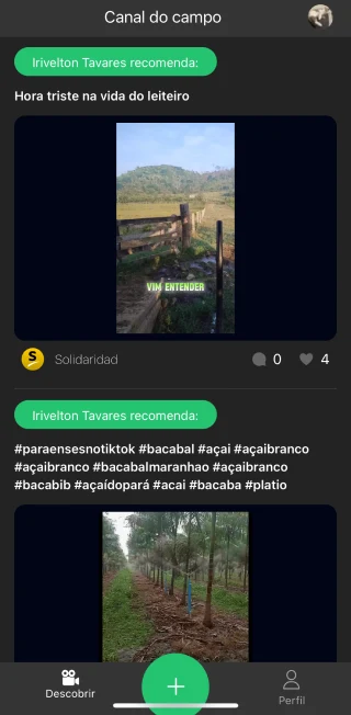 feed
