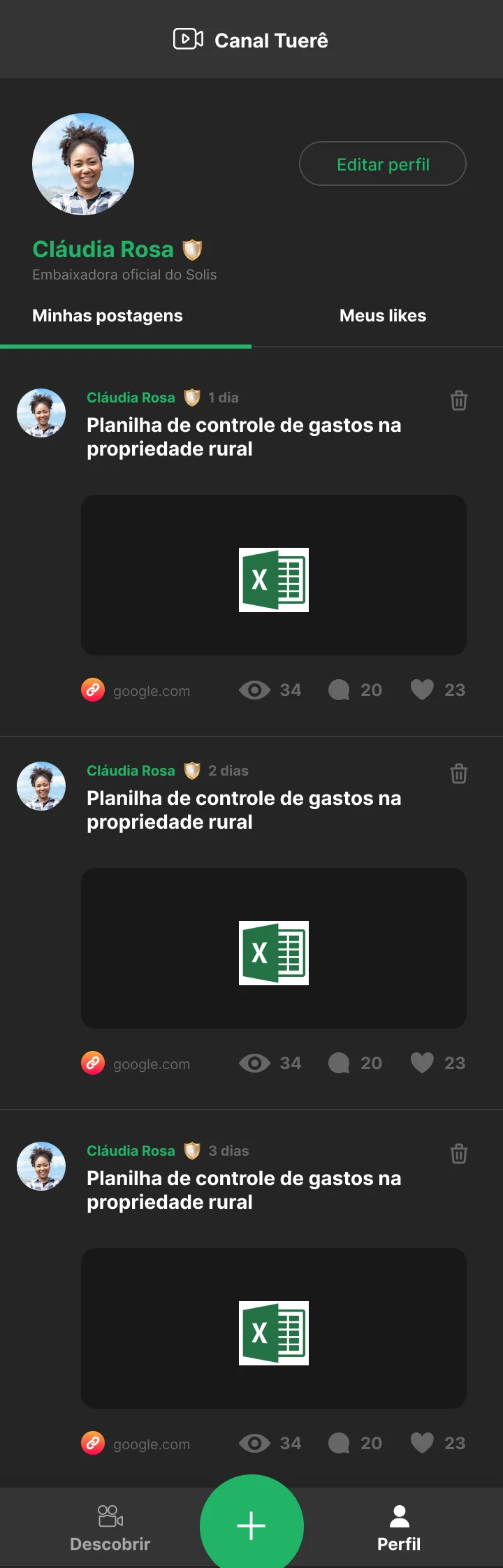 perfil de embaixadora