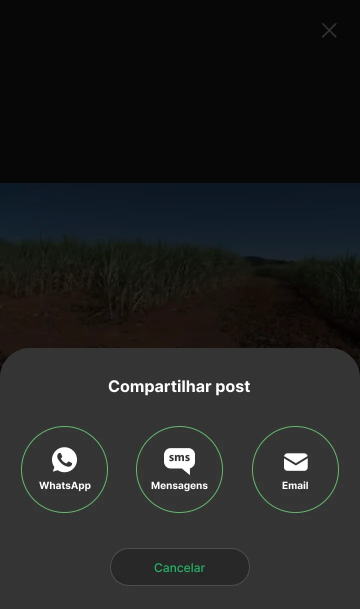 compartilhar post